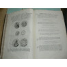 Mieris, F. van. HISTORI DER NEDERLANDSCHE VORSTEN. Dutch Historic Medals (and coins) 1351-1555.