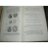 Mieris, F. van. HISTORI DER NEDERLANDSCHE VORSTEN. Dutch Historic Medals (and coins) 1351-1555.