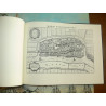 Boxhornius. (1632) Theatrum Sive Hollandiae Comitatus et Urbium.