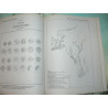 Gupta Parmeshwari Lal and Amal Kumar Jha (eds.) Numismatics and Archaeology