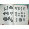 Balog, Paul - Umayyad, Abbasid and Tulund: Glass Weights and Vessel Stamps.