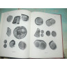 Balog, Paul - Umayyad, Abbasid and Tulund: Glass Weights and Vessel Stamps.