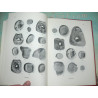 Balog, Paul - Umayyad, Abbasid and Tulund: Glass Weights and Vessel Stamps.