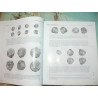 UBS 70-Collection of Spanish and Spanish Colonial Coins,  2007. High Andes