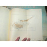 Hill-A Catalogue of the Greek Coins Of Cyprus in the British Museum (No. 24)