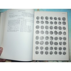 SBCI.-01. Grierson P., Sylloge of Coins of the British Isles. Part I, Ancient British and Anglo-Saxon Coins