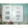 Zander H Klawans -  An Outline of Ancient Greek Coins