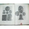 Maclagan, E. - Catalogue of Italian Plaquettes Victoria and Albert Museum. 1924 original