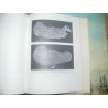 Metcalf & Oddy - Metallurgy in numismatics, Volume 1. Royal Numismatic Society Special Publication No. 13. RNS