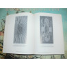 Elmpt, T.F.A, van: Surinam paper currency. Volume 1: 1760 to 1957