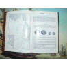 Sear, David R.: Greek Coins and their Values Volume I Europe