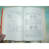 Seaby, H. A.: Greek Coins and Their Values. 1966. Second revised edition