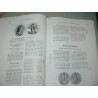 Loon, Gerard Van-Contemporary numismatics (Hedendaagsche penningkunde). English text!